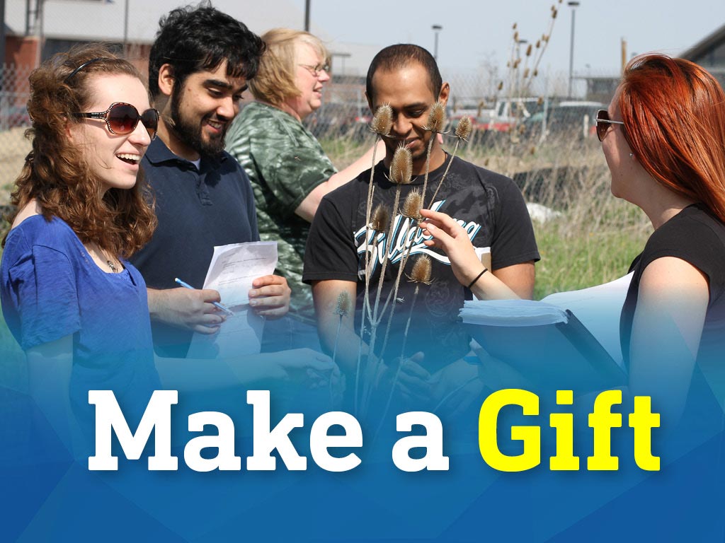 Make a Gift
